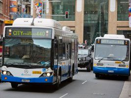 buses in the city